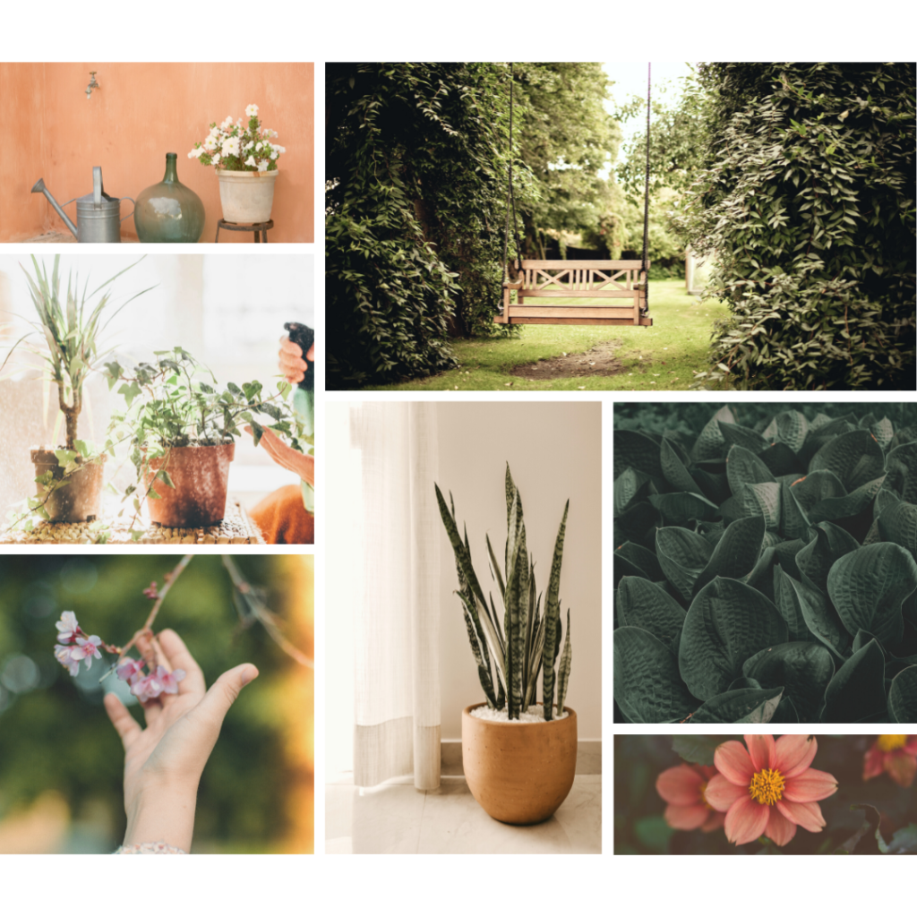 How to Craft the Perfect Mood Board - theinspiredfoundry.com